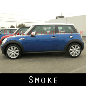 07-11 Mini Cooper / S Smoked Markers Kit