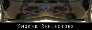 Beetle Reflector Crossbody